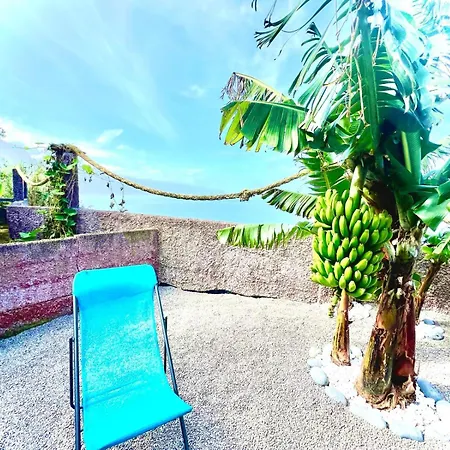 Casa Do Pico Holiday home